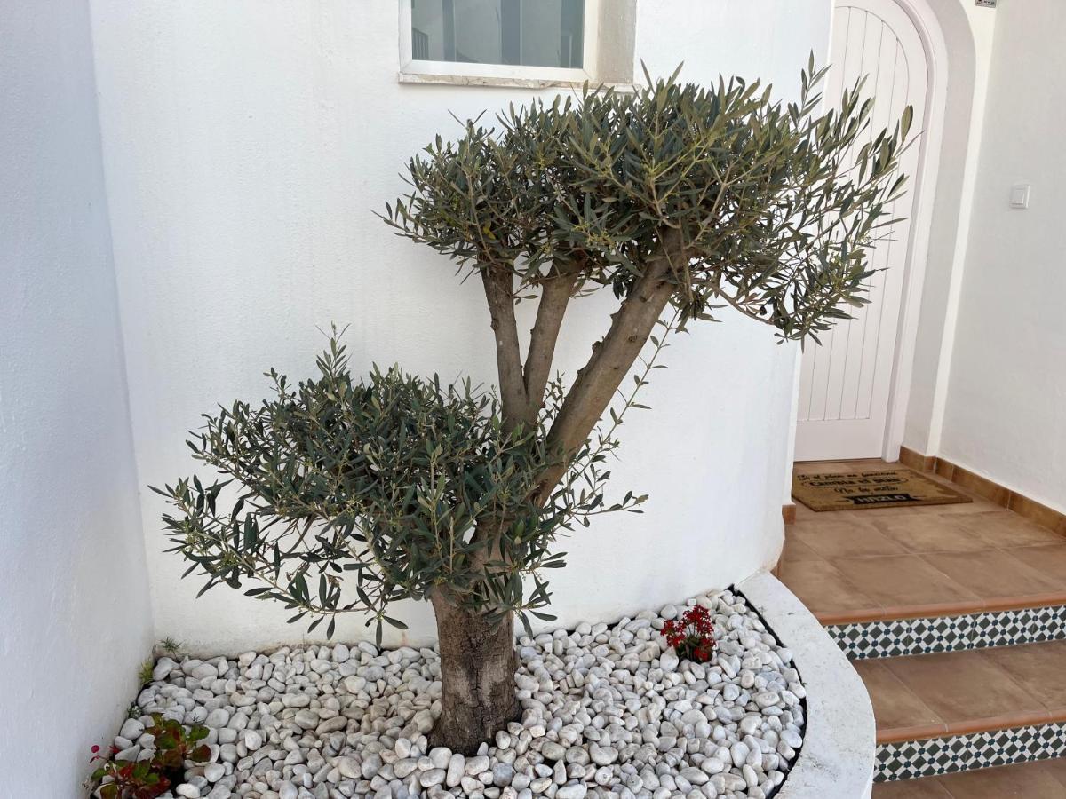 Casa Del Olivo Villa Almuñécar Dış mekan fotoğraf